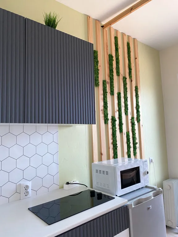 Студия у Онежского озера