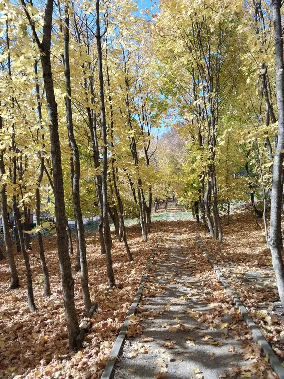 Уютная новая квартира рядом с санаторием Виктория