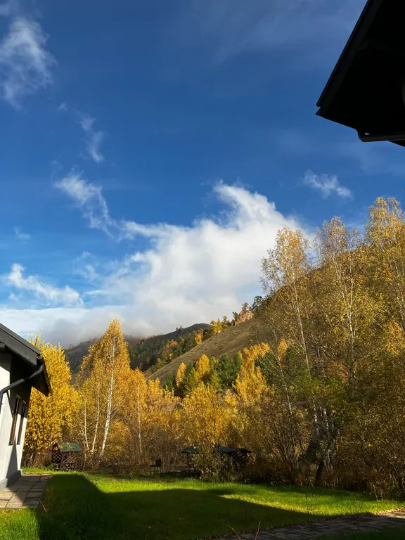 Гостевой дом на берегу реки Базаиха