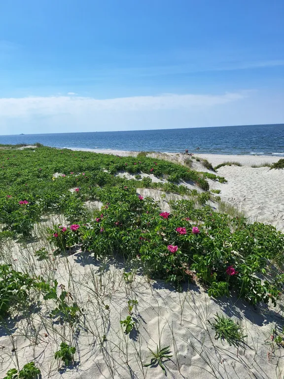 Мансарда у моря