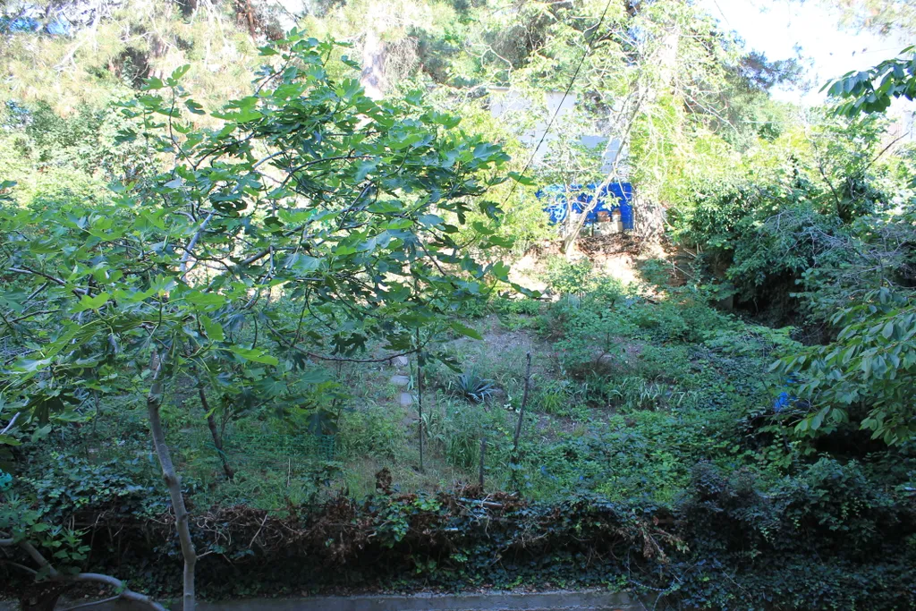 Уютная квартира в самом зеленом районе Дивноморского