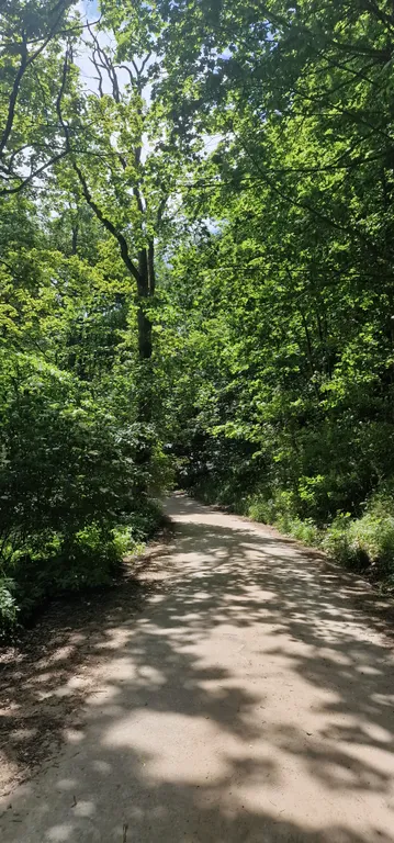 Апартамент с видом на лес