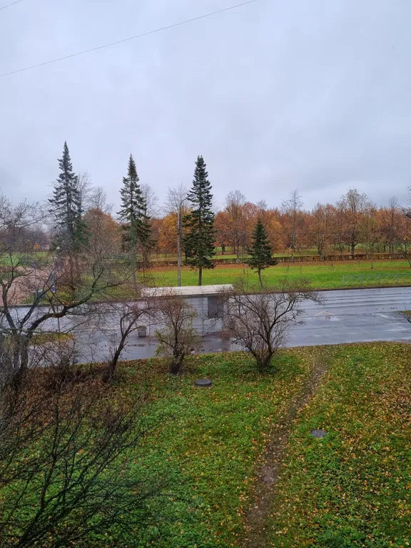 Квартира с видом на собор Святого Петра и Павла