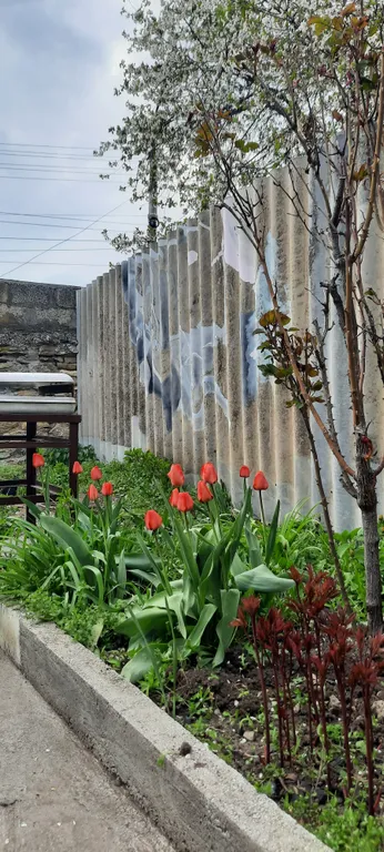 Коттедж Уютный частный дом — Кисловодск