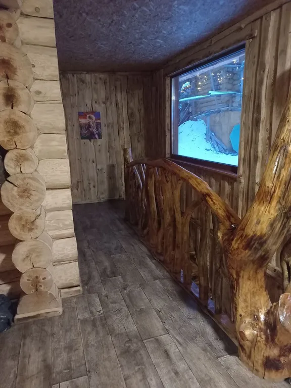 Большой дом