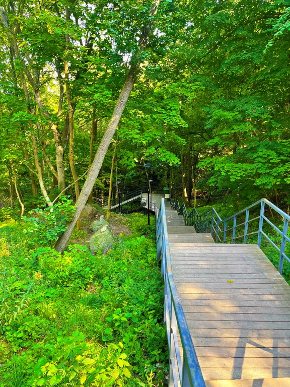 Апартаменты с балконом и видом на сосновый парк рядом с морем