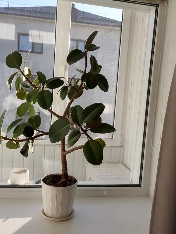 Квартира в исторической части города