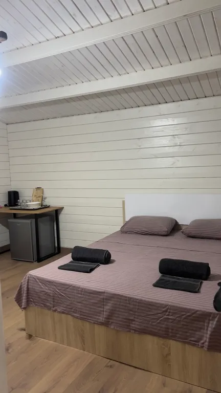 Уютный коттедж Теодор