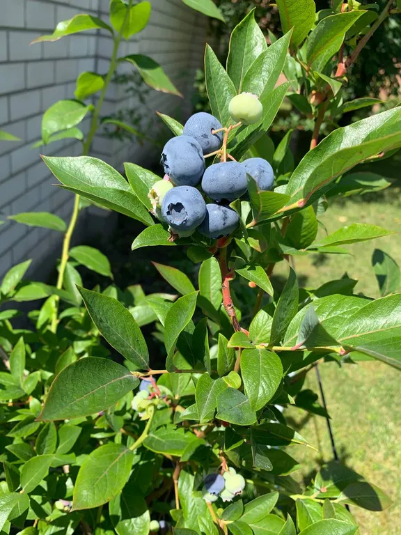 Дом для отдыха в зелёной части города