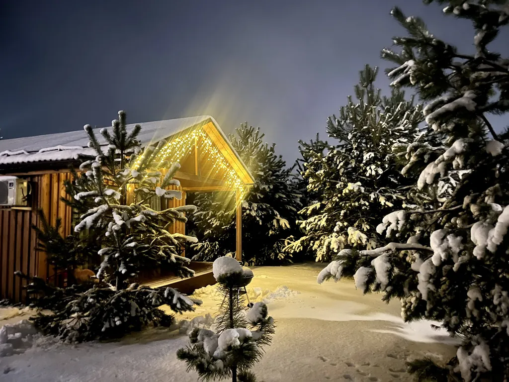 Коттедж в лесу у пруда — аренда посуточно в Звенигород