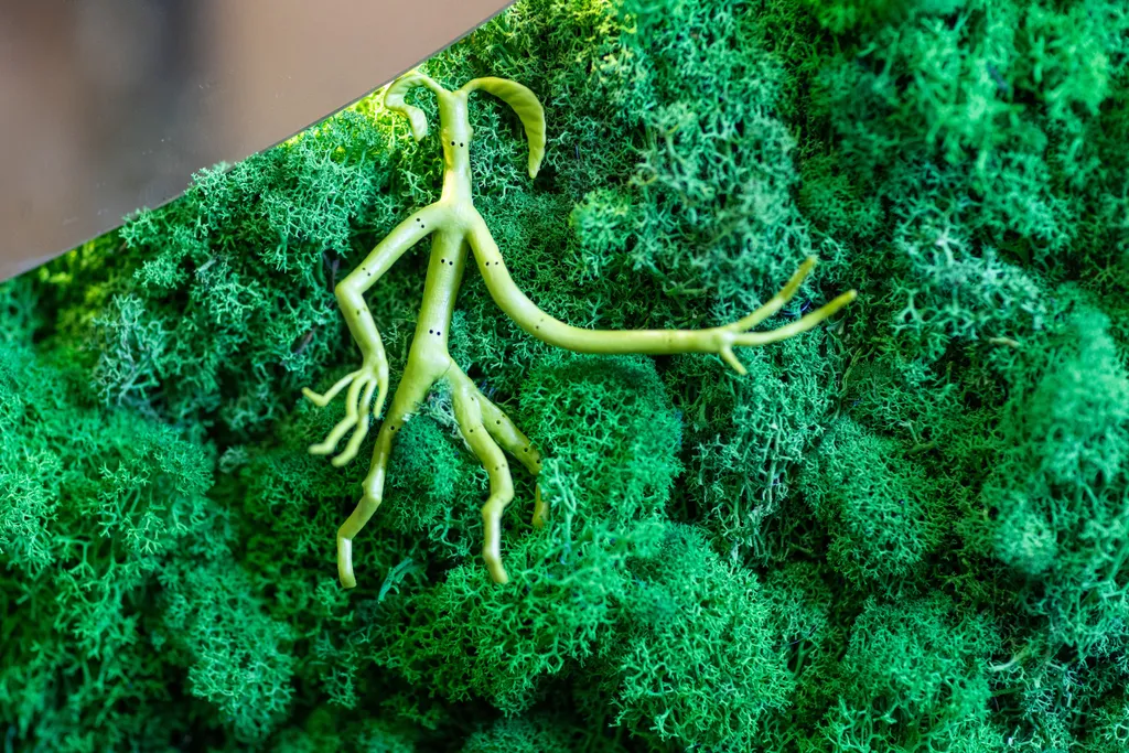 Дом Пуффендуй (чан входит в стоимость)