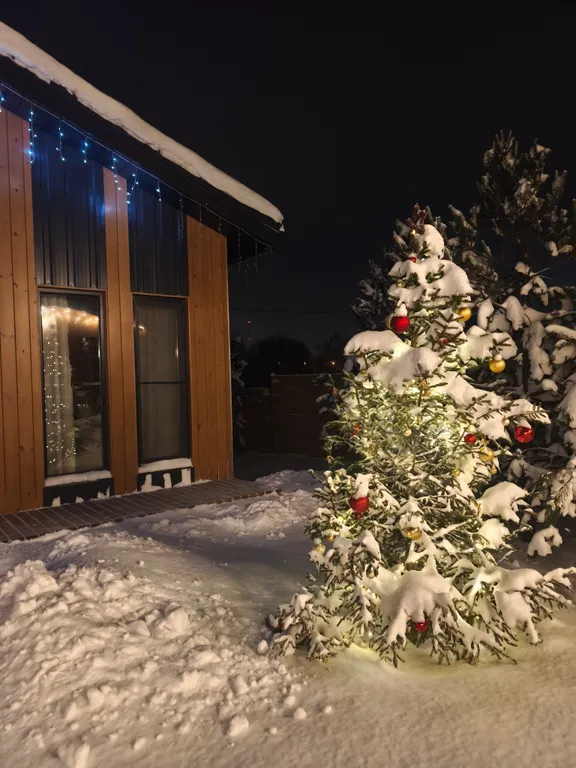 Skandi рыбка загородный дом у пруда в Подмосковье
