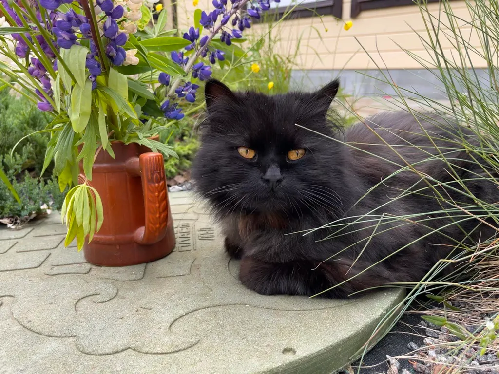 Гостевой домик на хуторе Керино