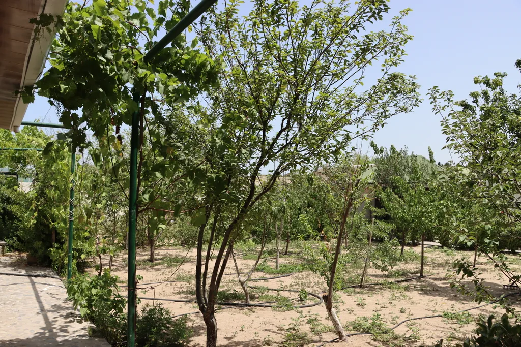 Дача bizim bag в баку/ недалёко от seabreeze