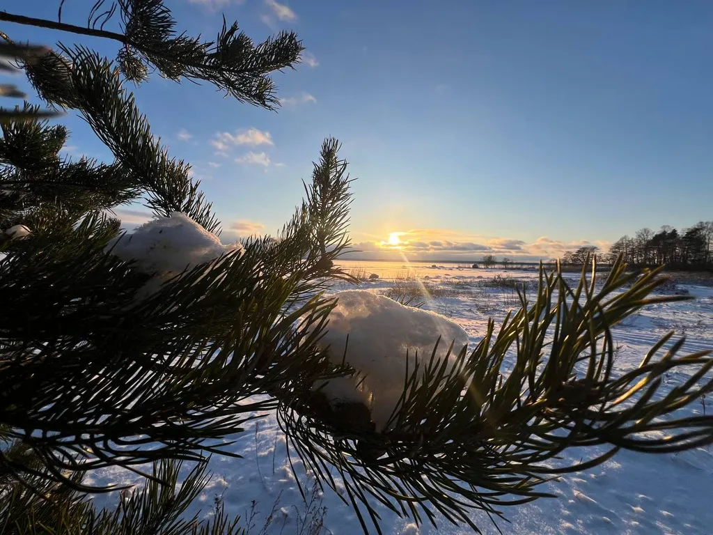 Коттедж Коттедж с видом на море — Приморск