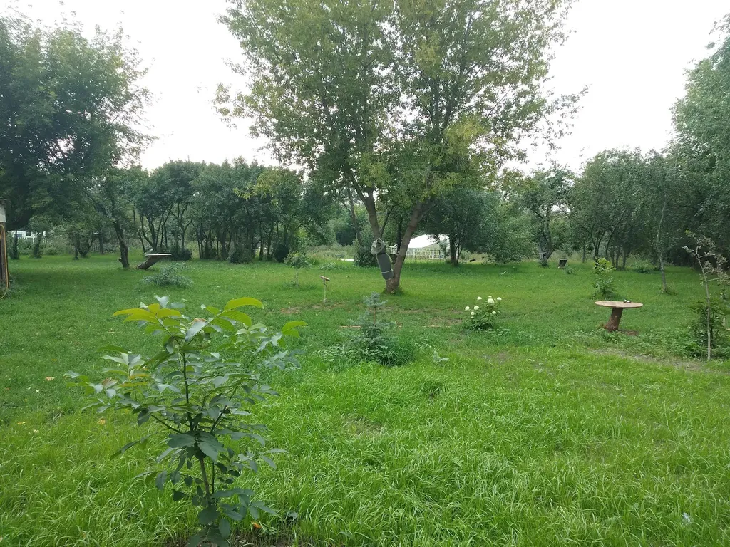 Красивый дом в деревне