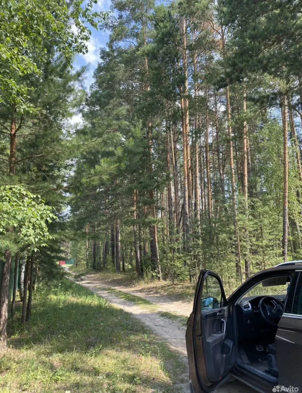 Загородная вилла в лесу