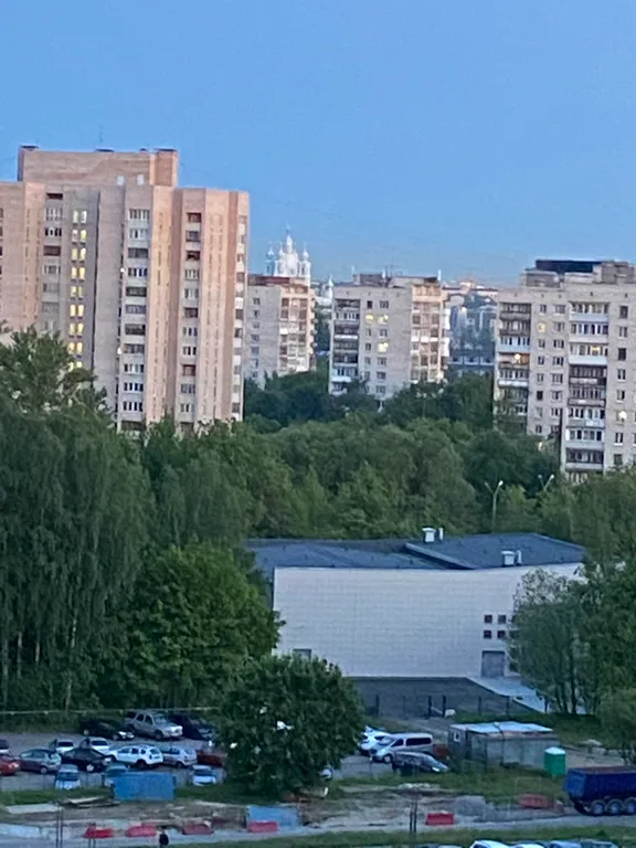 Квартира Однокомнатная квартира с видом на Смольный собор — Санкт-Петербург