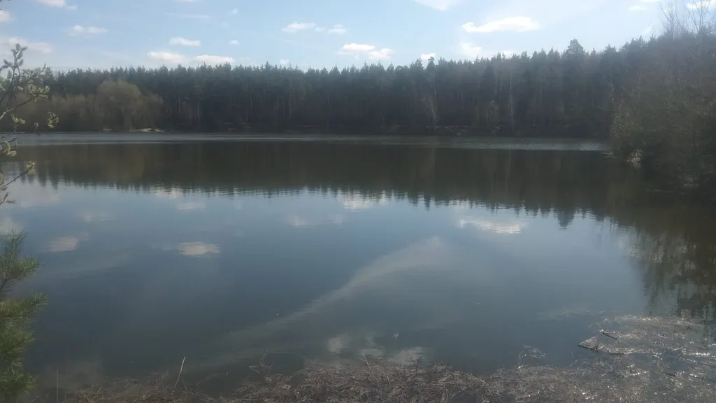 Коттедж Лариса