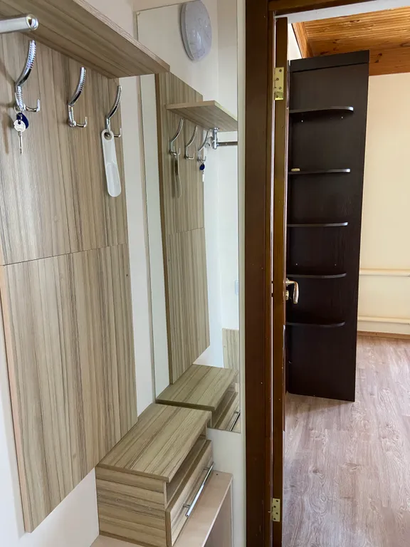 Уютная однокомнатная квартира в центре