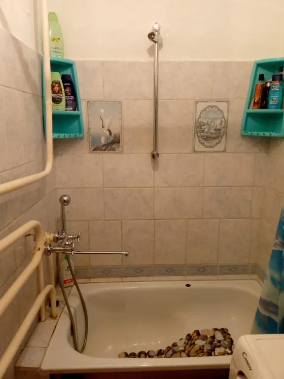 Пальмовая ветвь