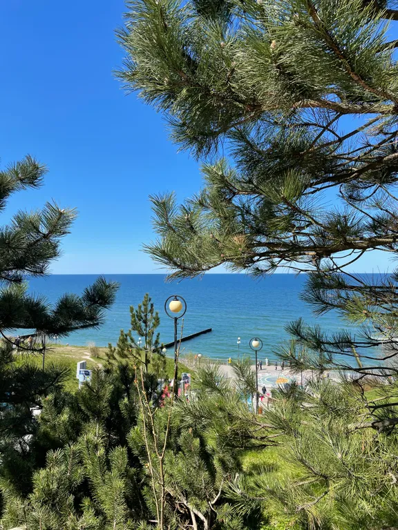 Квартира Тихая квартира в центре — Светлогорск