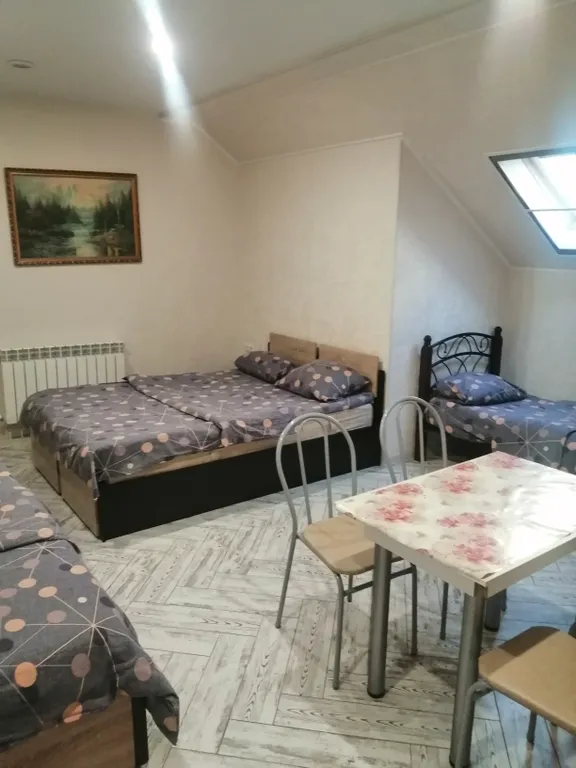 Квартира Квартира Студия в Олимпийском парке — Сириус