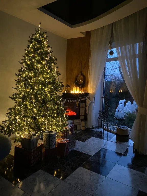 Коттедж Дом для праздника — Первореченское