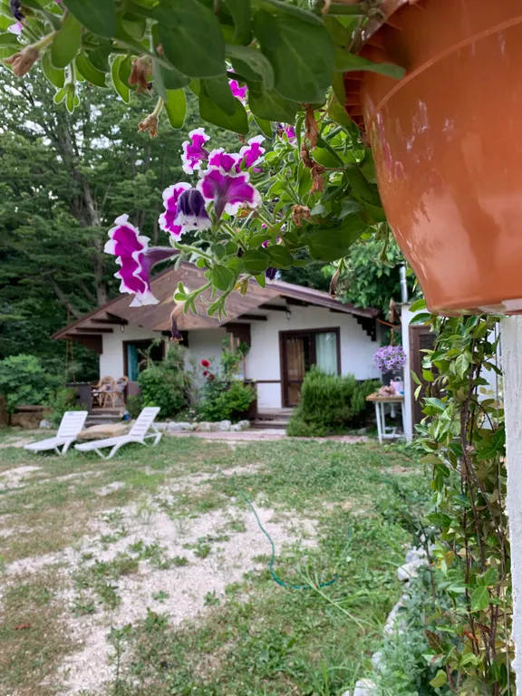 Апартаменты лесное царство