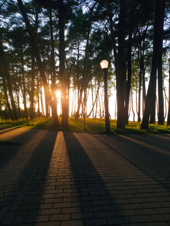 Квартира рядом с морем