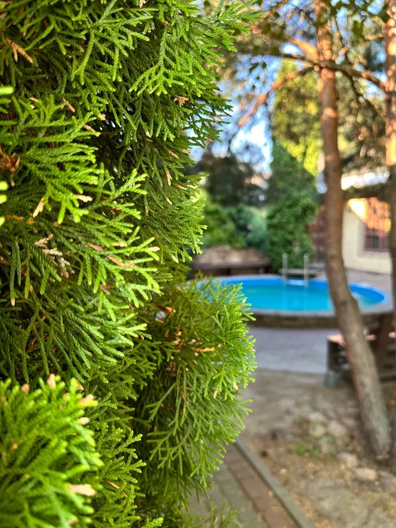 Усадьба Славная