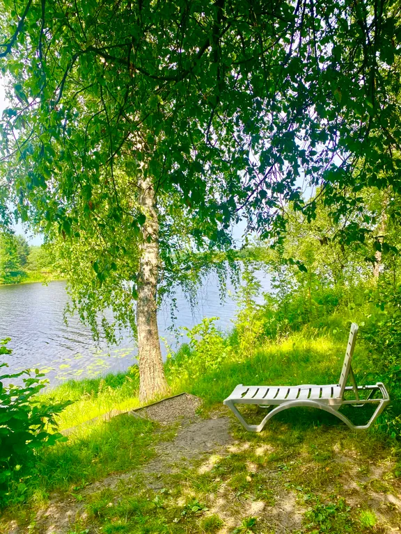 Деревянный дом на берегу реки с беседкой