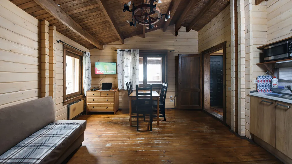 Коттедж 3-комнатный Дом — Запорожское