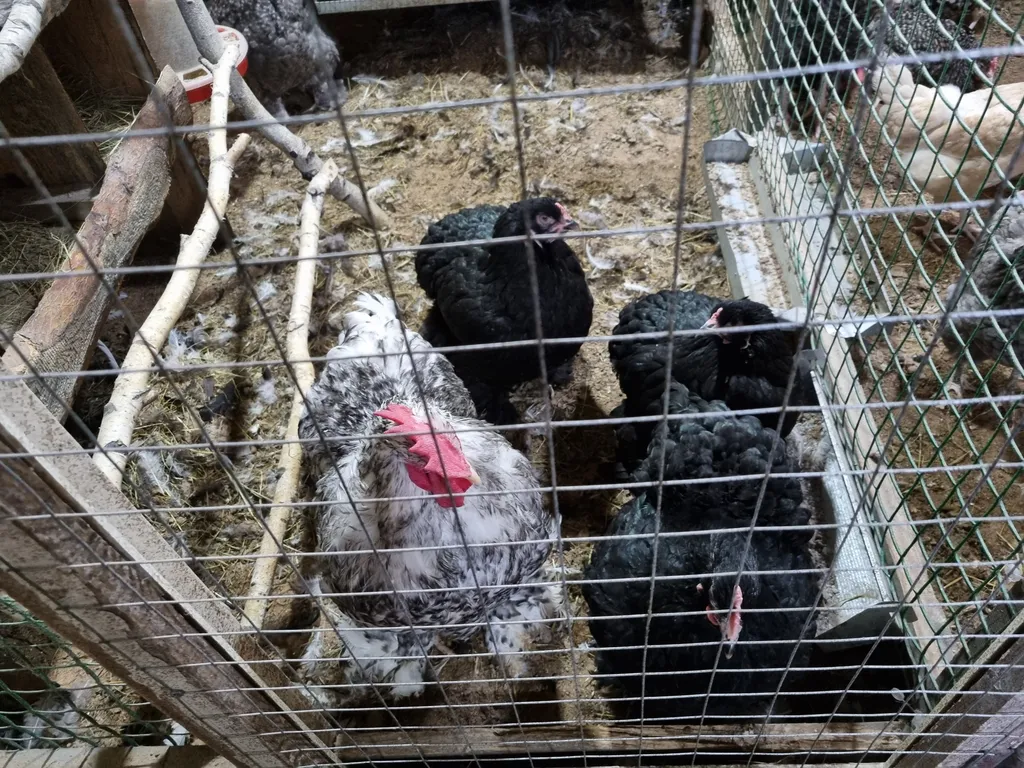 Коттедж Домик в деревне — Соколова