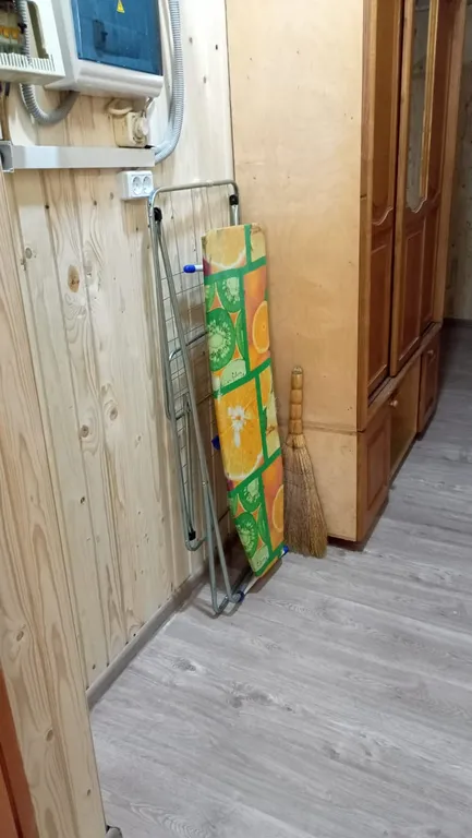 Квартира с беседкой  в центре