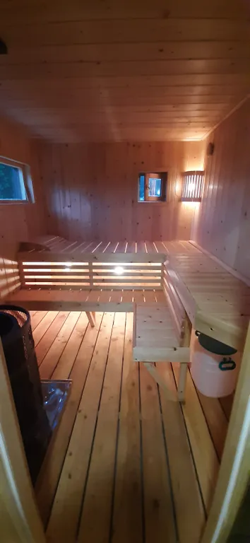 Загородный дом в лесу на Финском заливе