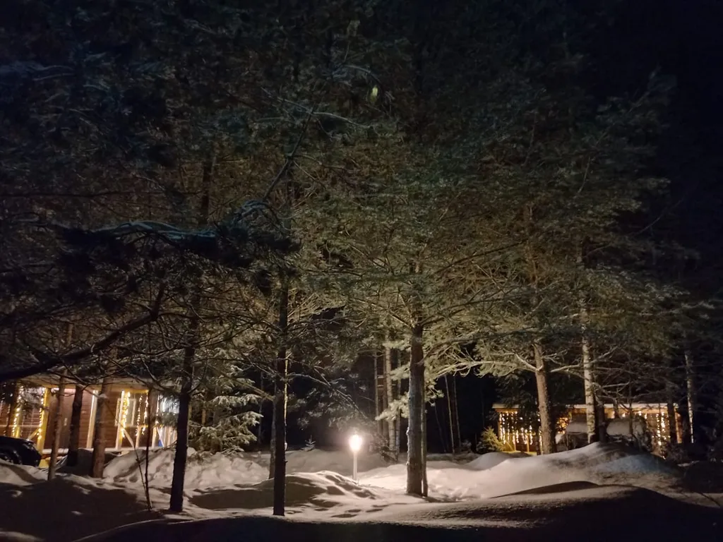 Гостевой дом На опушке леса