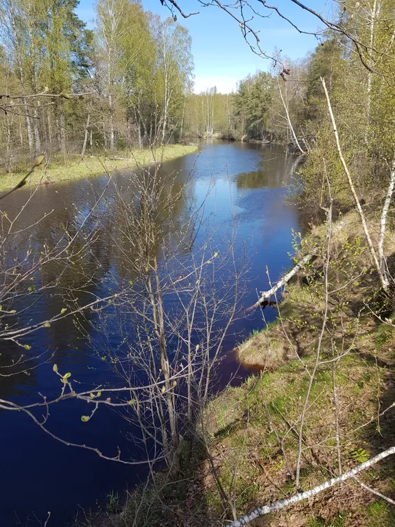 Коттедж Уютный домик на берегу реки — Лодейное Поле