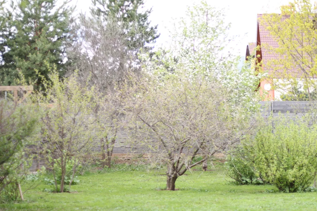 Уютный домик с банным чаном, сауной и камином