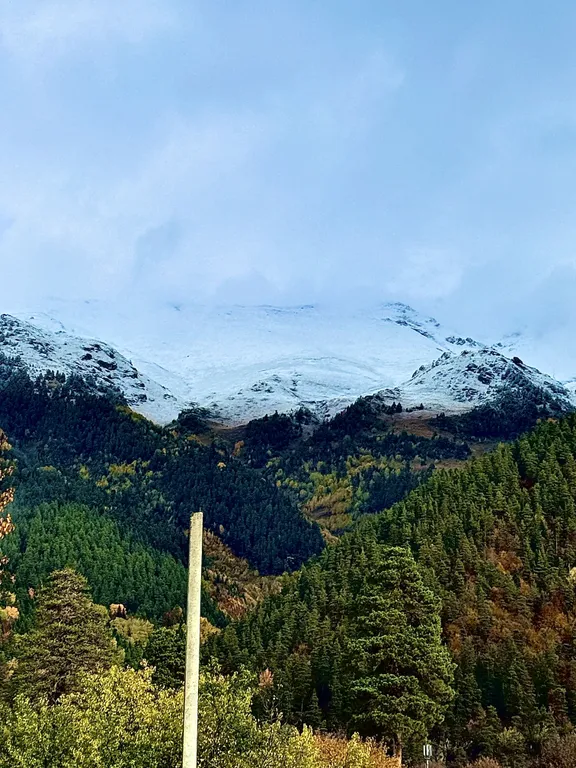 Домик с кухней