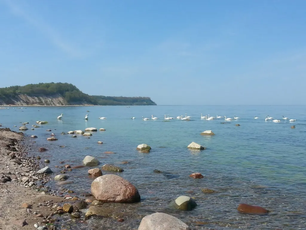 Загородный дом Филино с сауной, садом и барбекю
