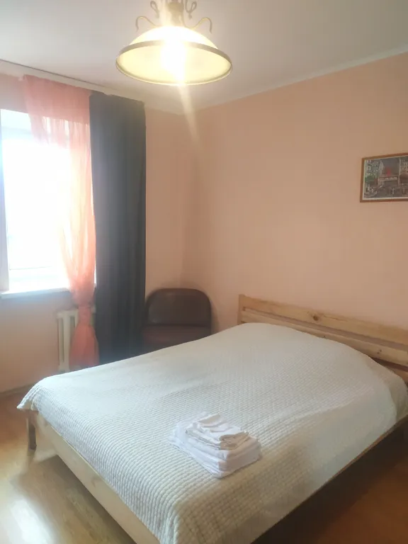 Большая однушка на проспекте Ленина