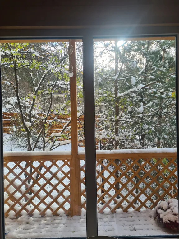 Коттедж Домик в лесу — Кисловодск