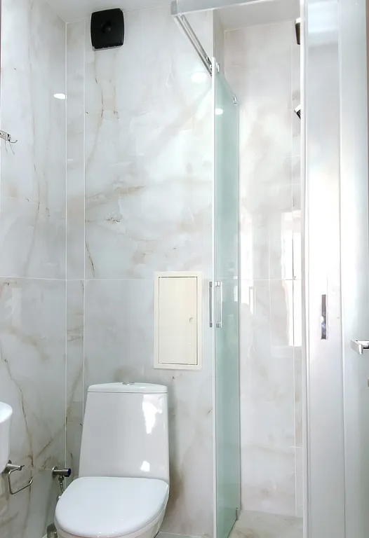 Апартаменты для большой семьи или дружной компании