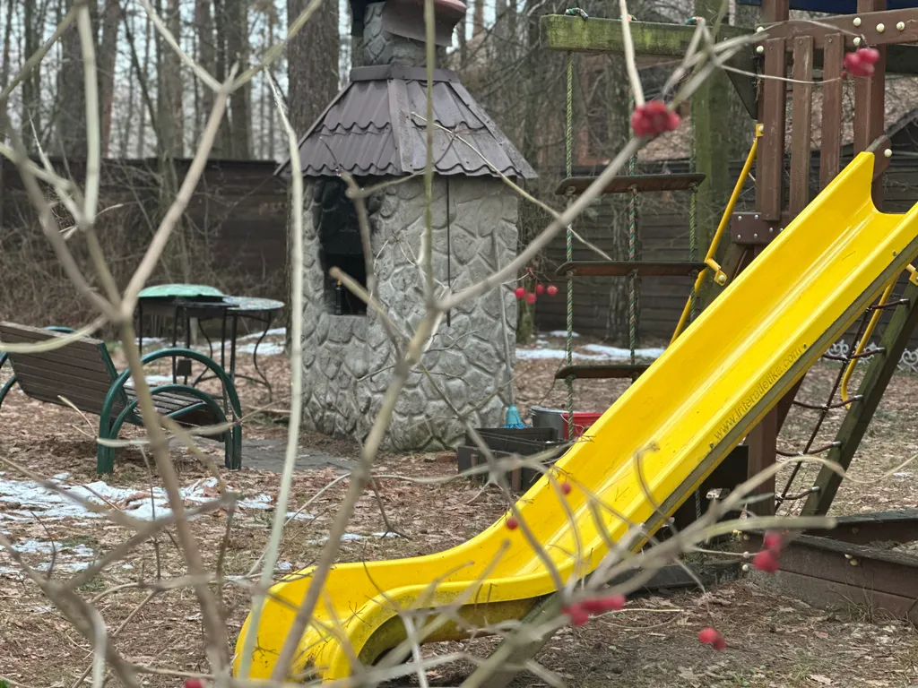 Загородный дом в соснах недалеко от Москвы