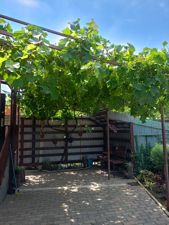 Уютный дом с беседкой и камином