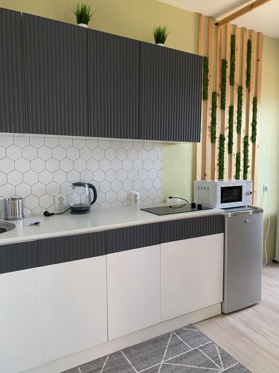 Студия у Онежского озера