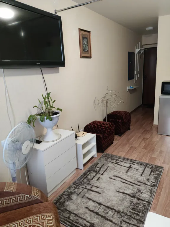 Уютная квартира-студия недалеко от Виваленда