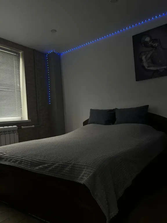 Уютная 1-комнатная квартира с отдельным входом