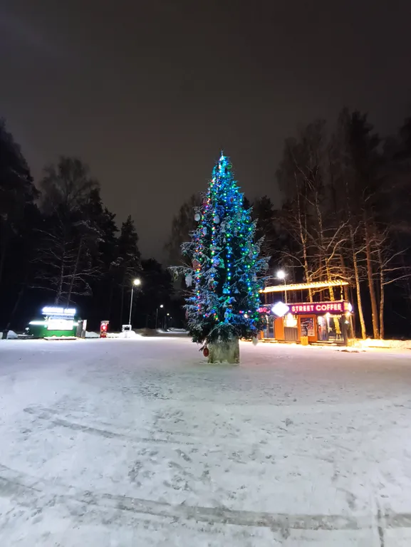 Дом у парка Берендеевка